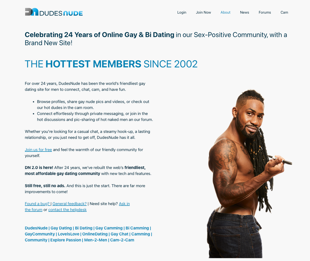 The old about.dudesnude.com WordPress page — long single column, dense text, mixed typography
